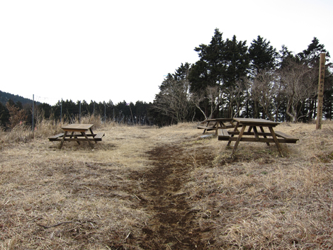 20190214hike (50)
